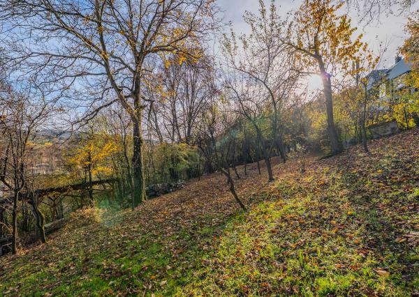 Na predaj veľký investičný pozemok Žilina - Vranie 2246 m2