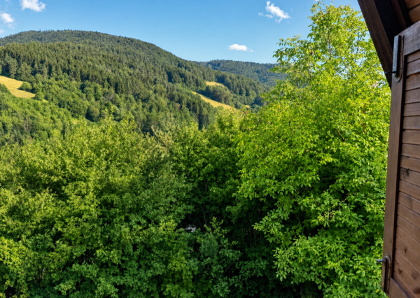 Chata 53m2 na samote v prírode s výhľadmi - Vydrná, Púchov