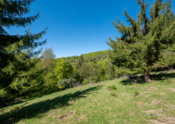 Pozemok - samota v horách nad obcou Lazy pod Makytou, Púchov
