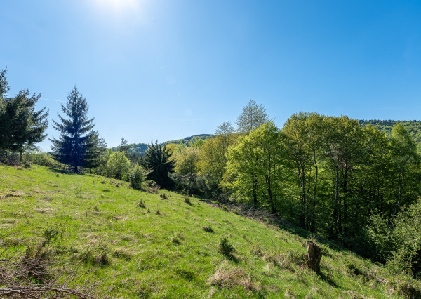 Pozemok - samota v horách nad obcou Lazy pod Makytou, Púchov