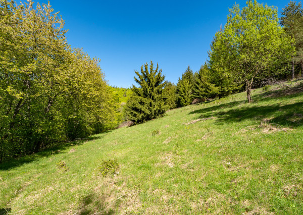 Pozemok - samota v horách nad obcou Lazy pod Makytou, Púchov