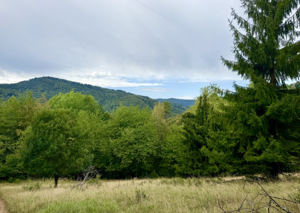Pozemok - samota v horách nad obcou Lazy pod Makytou, Púchov