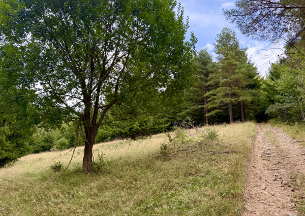 Pozemok - samota v horách nad obcou Lazy pod Makytou, Púchov
