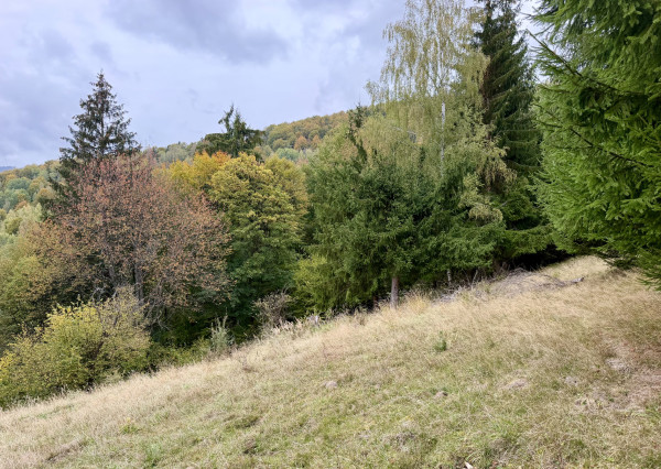 Pozemok - samota v horách nad obcou Lazy pod Makytou, Púchov