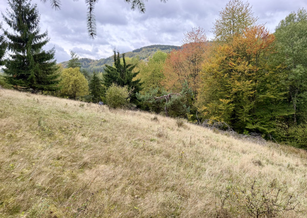 Pozemok - samota v horách nad obcou Lazy pod Makytou, Púchov