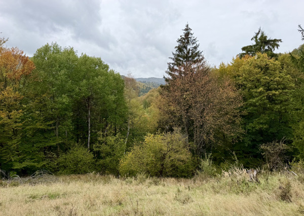 Pozemok - samota v horách nad obcou Lazy pod Makytou, Púchov