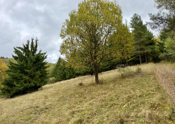 Pozemok - samota v horách nad obcou Lazy pod Makytou, Púchov