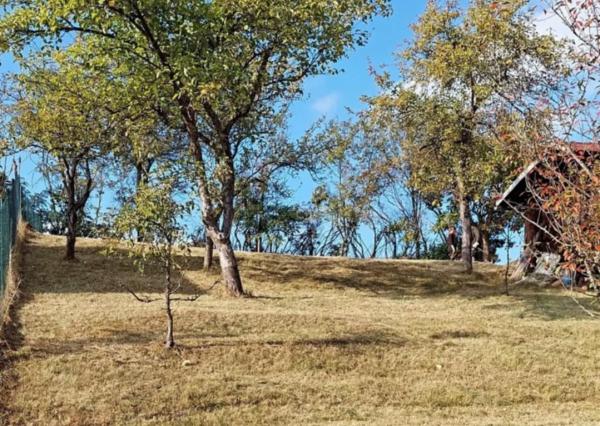 Pozemok nad Belianskym jazerom