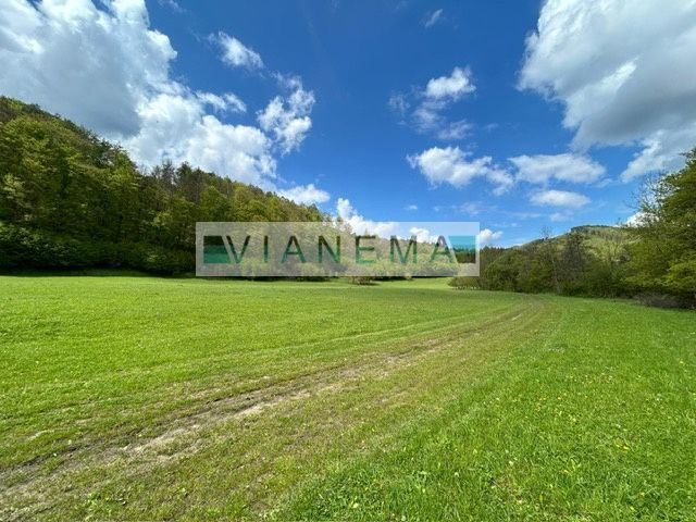 IBA U NÁS! Rekreačný pozemok v Hornej Breznici