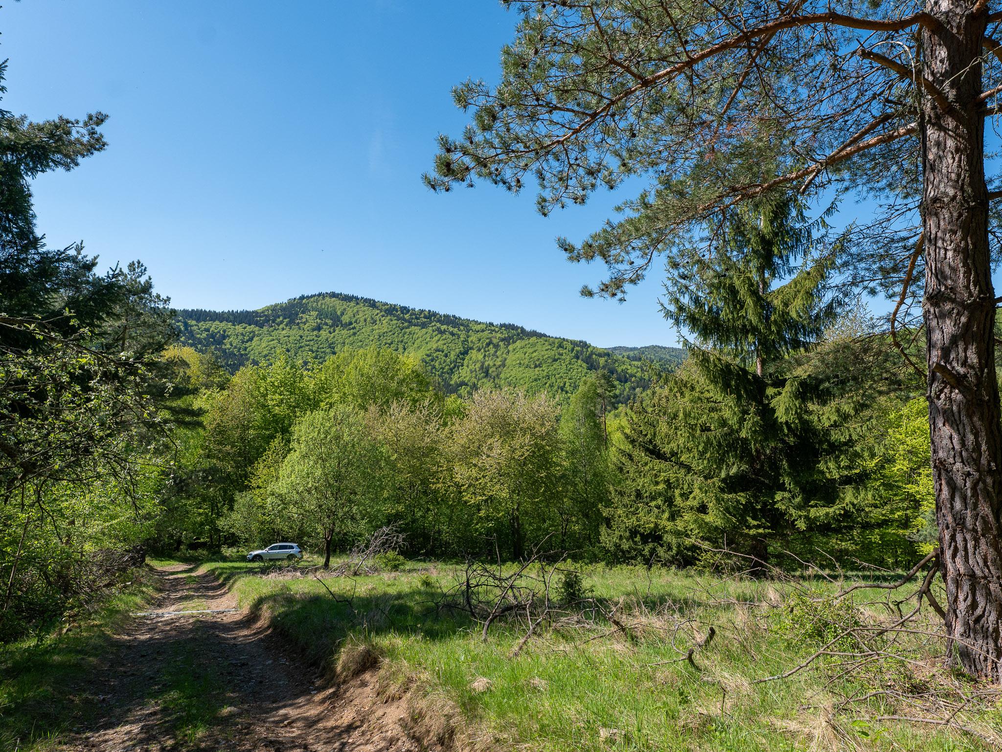 IBA U NÁS! Pozemok na samote v lese - Lazy pod Makytou