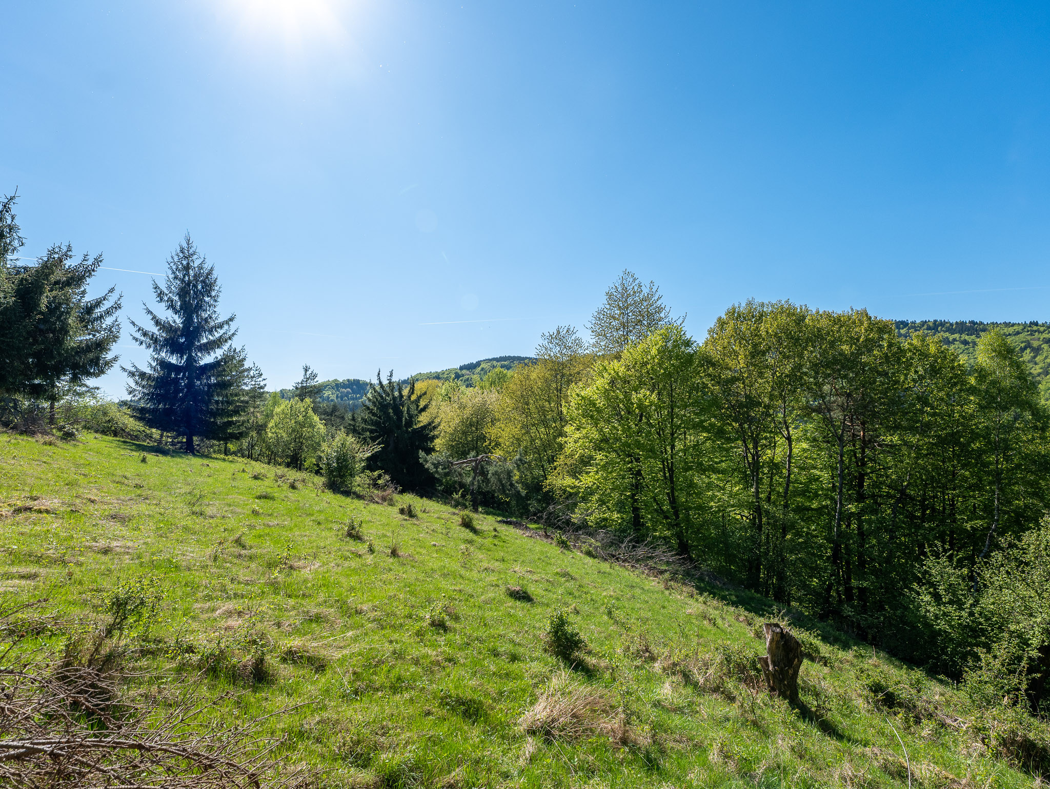 IBA U NÁS! Pozemok na samote v lese - Lazy pod Makytou
