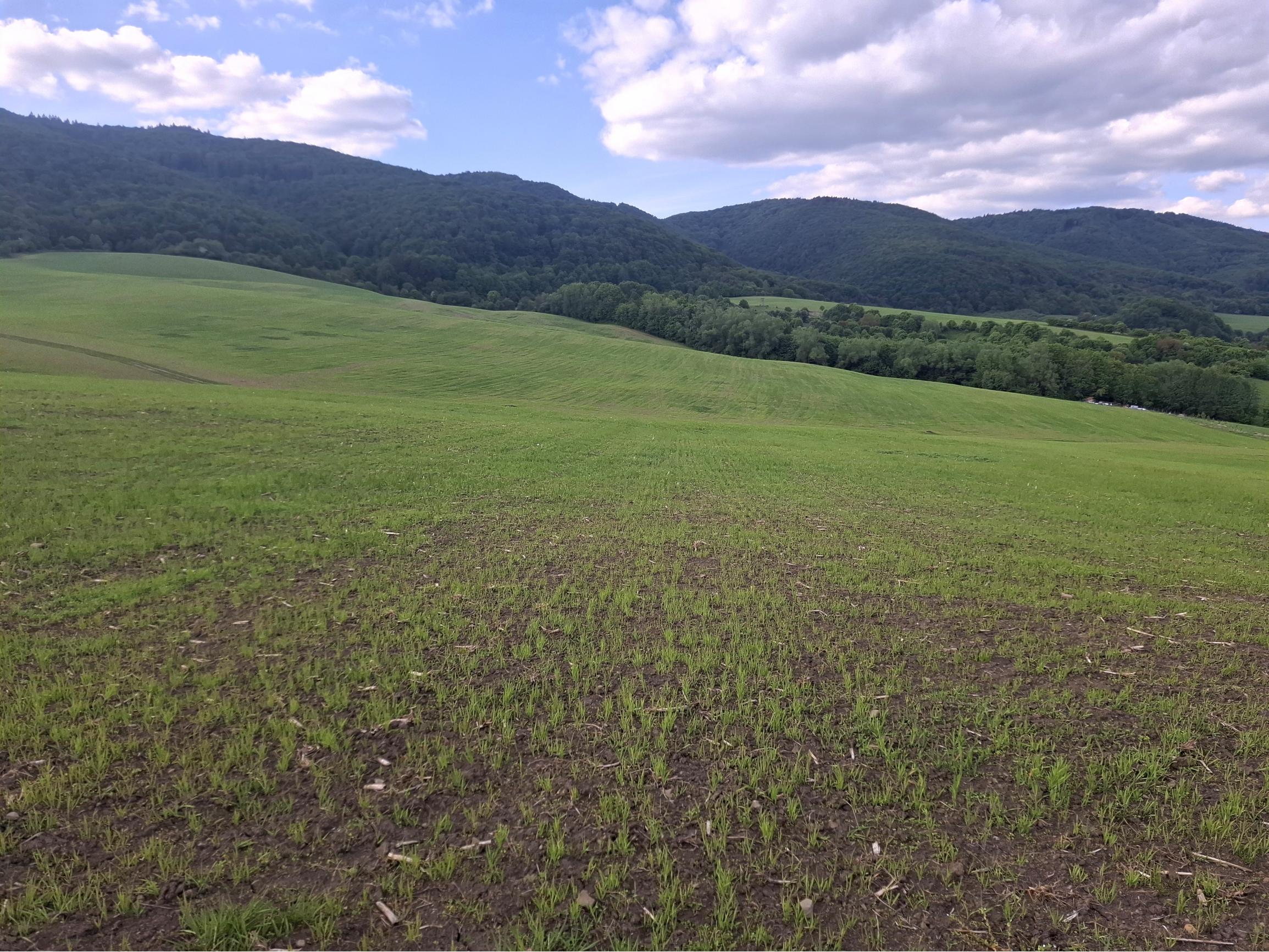 IBA U NÁS! Investičný pozemok na okraji obce Dohňany, Púchov