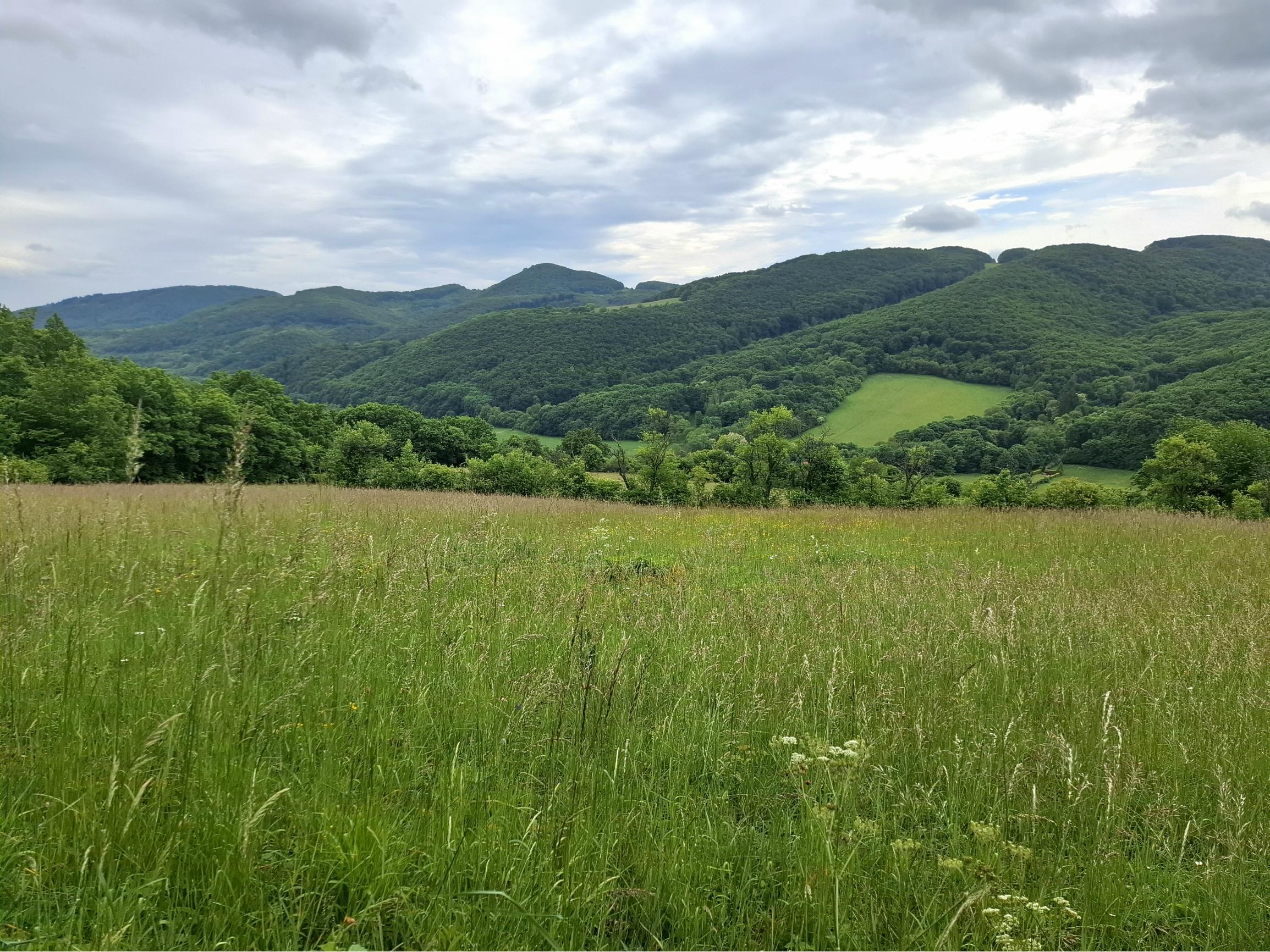 IBA U NÁS! Pozemok s luxusným výhľadom - Zemianske Podhradie