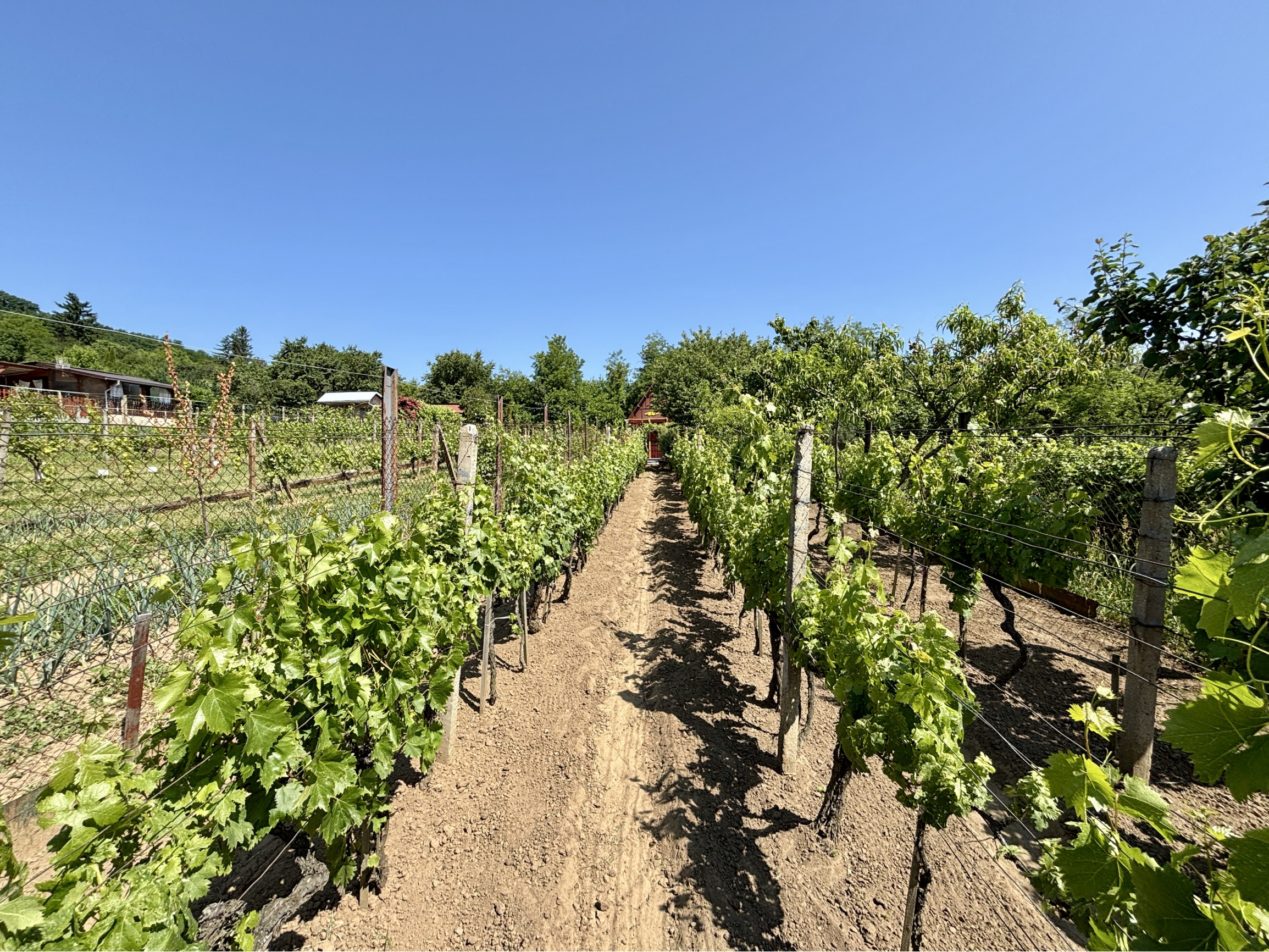 IBA U NÁS! Na predaj chata, záhrada Kráľovský Chlmec