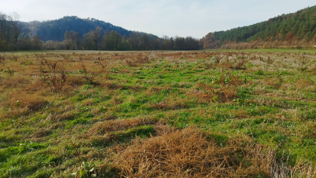 NA PREDAJ slnečný, rovinatý pozemok v obci Dolný Lieskov