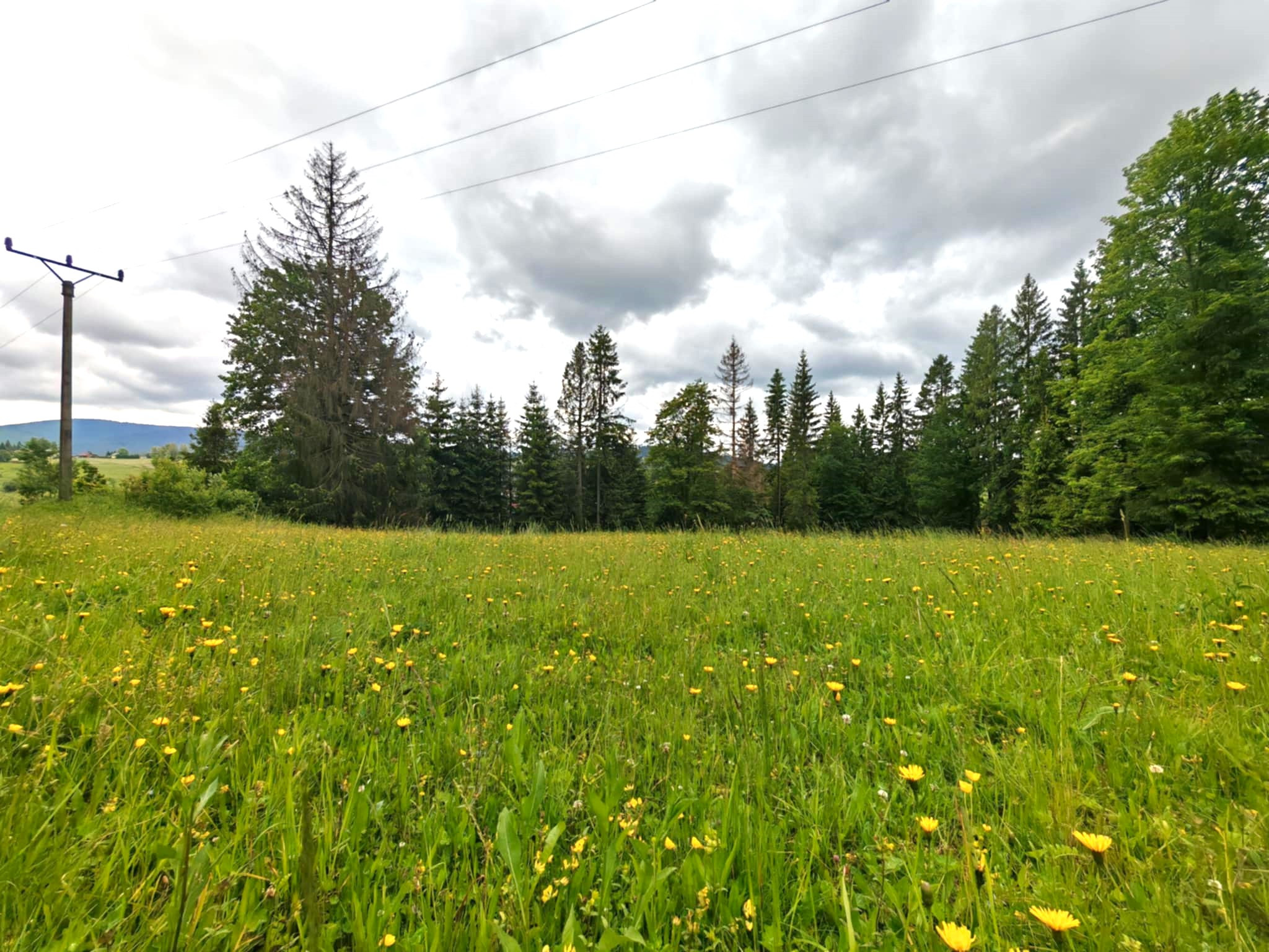 Investičný pozemok - Oravská Lesná 1.625 m²