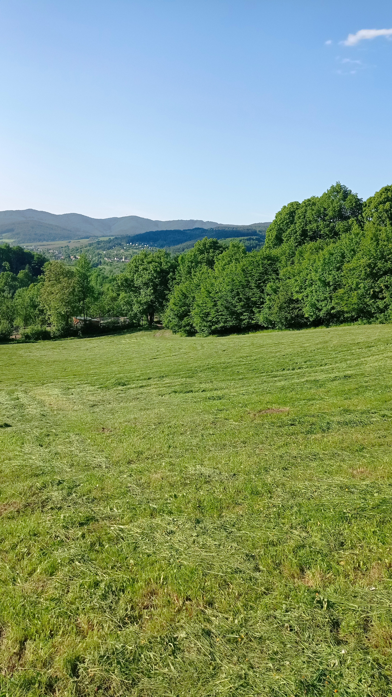 Predaj pozemku, Vieska - Bezdedov mestská časť mesta Púchov