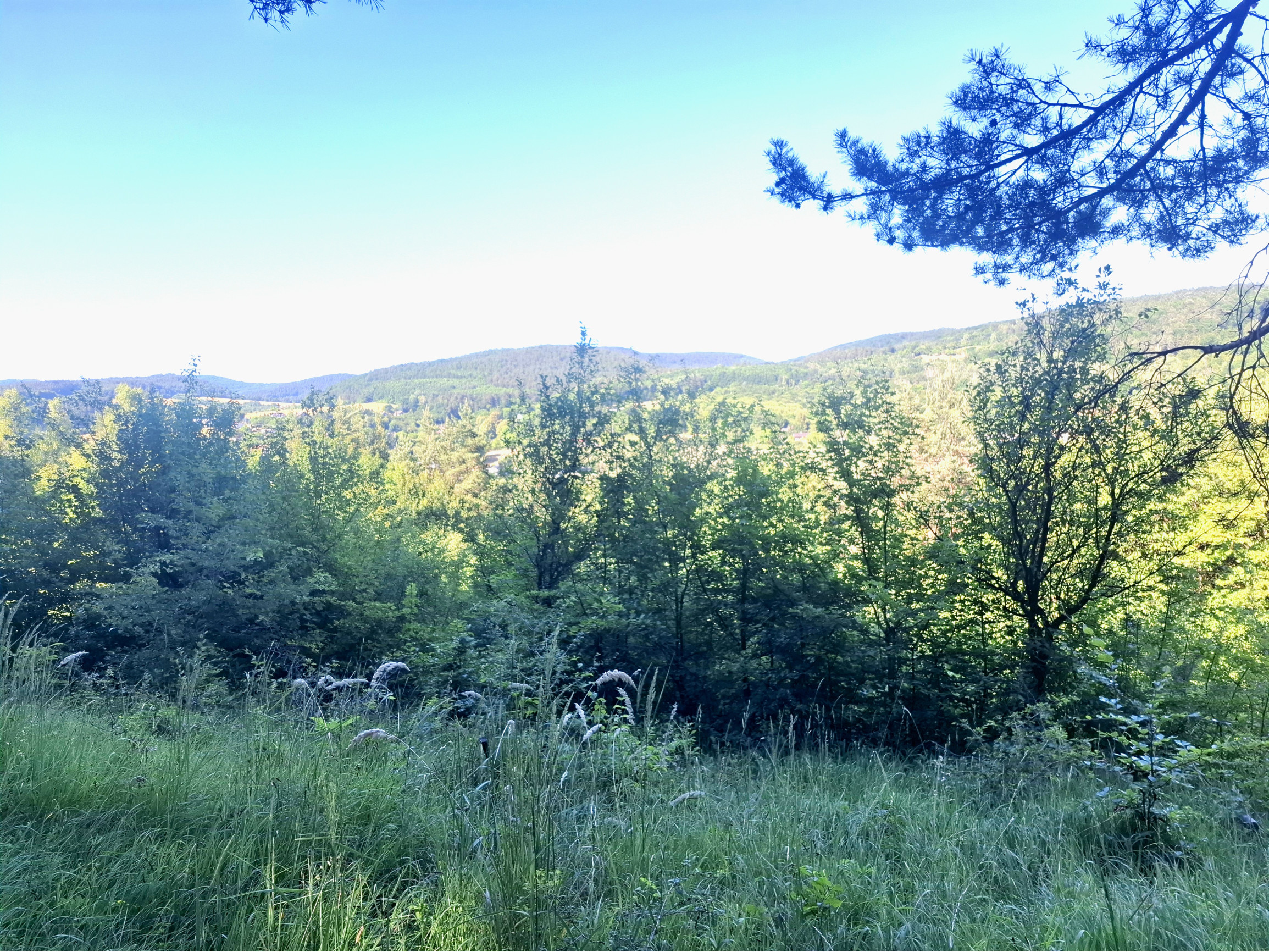 IBA U NÁS! Pozemok 1,8 ha pod lesom-Púchov-Vieska-Bezdedov