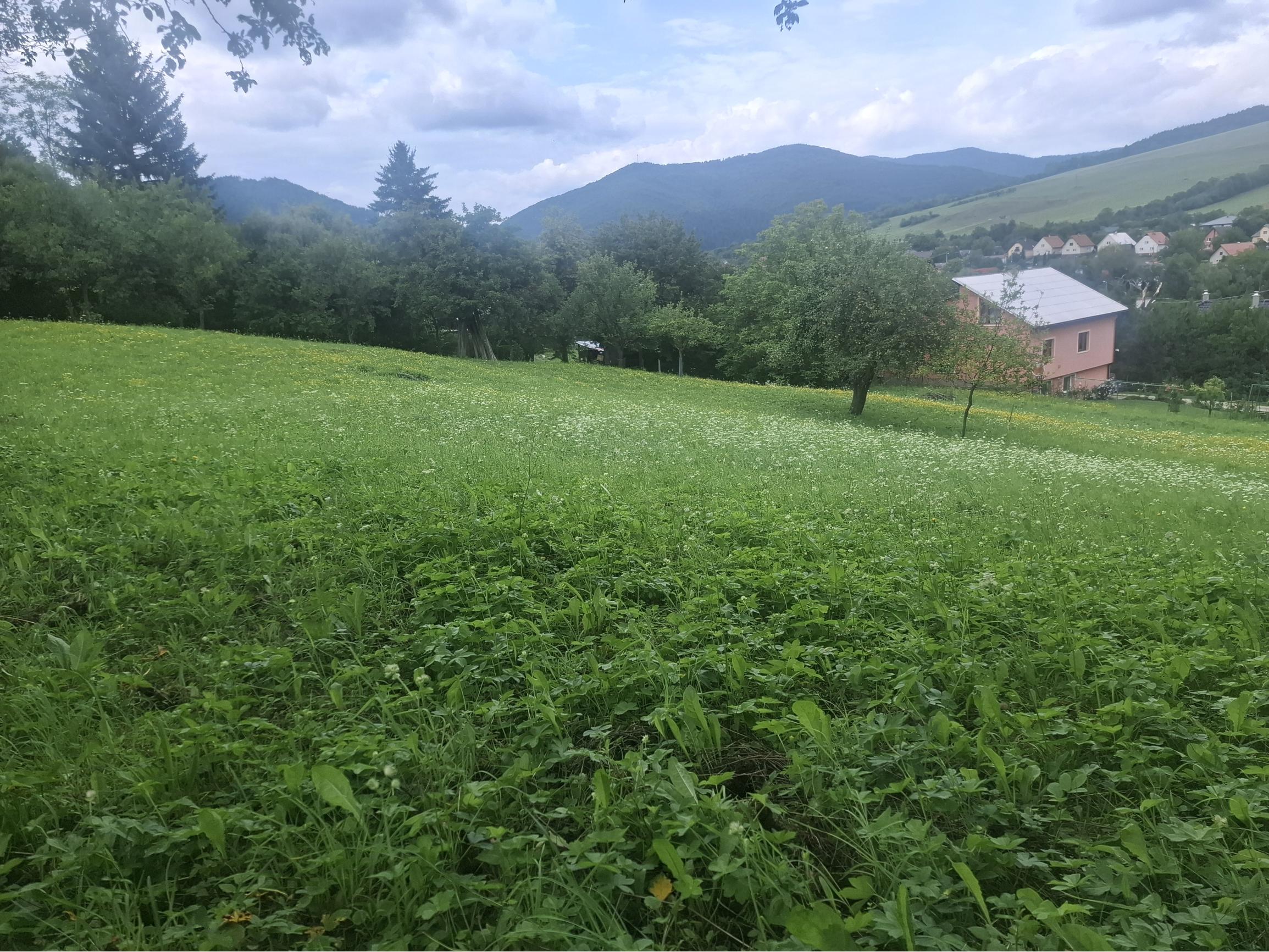 IBA U NÁS! Stavebný pozemok pri lese nad Dolnou Marikovou