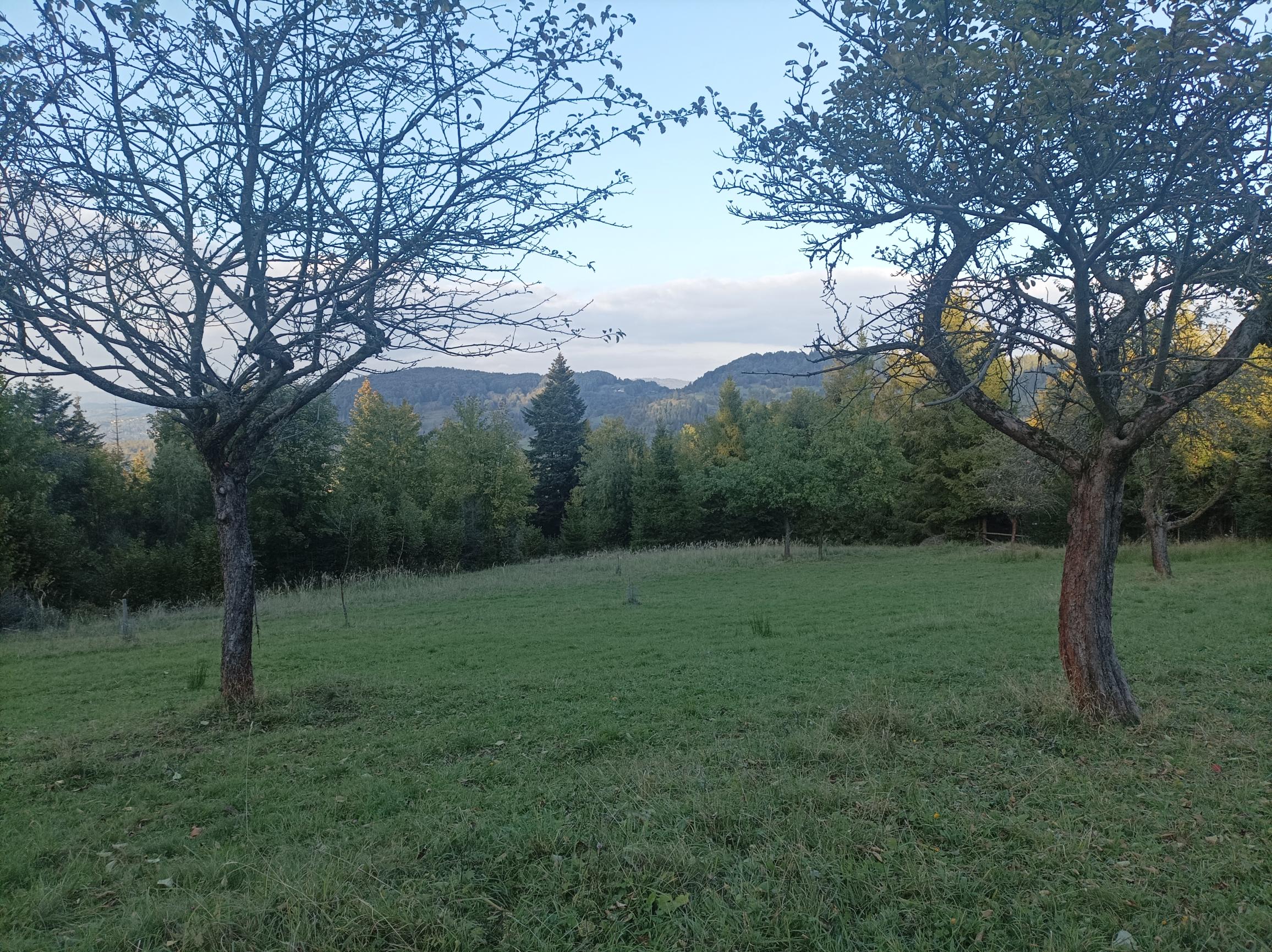 PRIPRAVUJEME! Predaj rekreačný pozemok na samote - Čadca Rieka