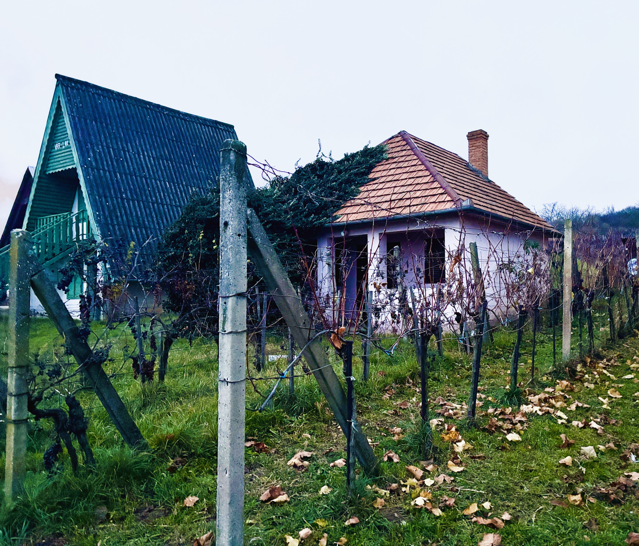 Chata, pivnica, vinič, pozemok 1218m2, Bátorové Kosihy