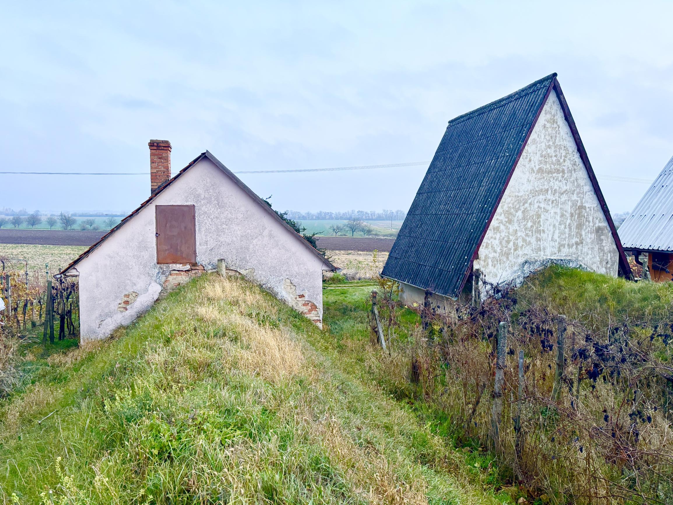 IBA U NÁS! 2X Chata, vinohrad s viničom, Bátorové Kosihy