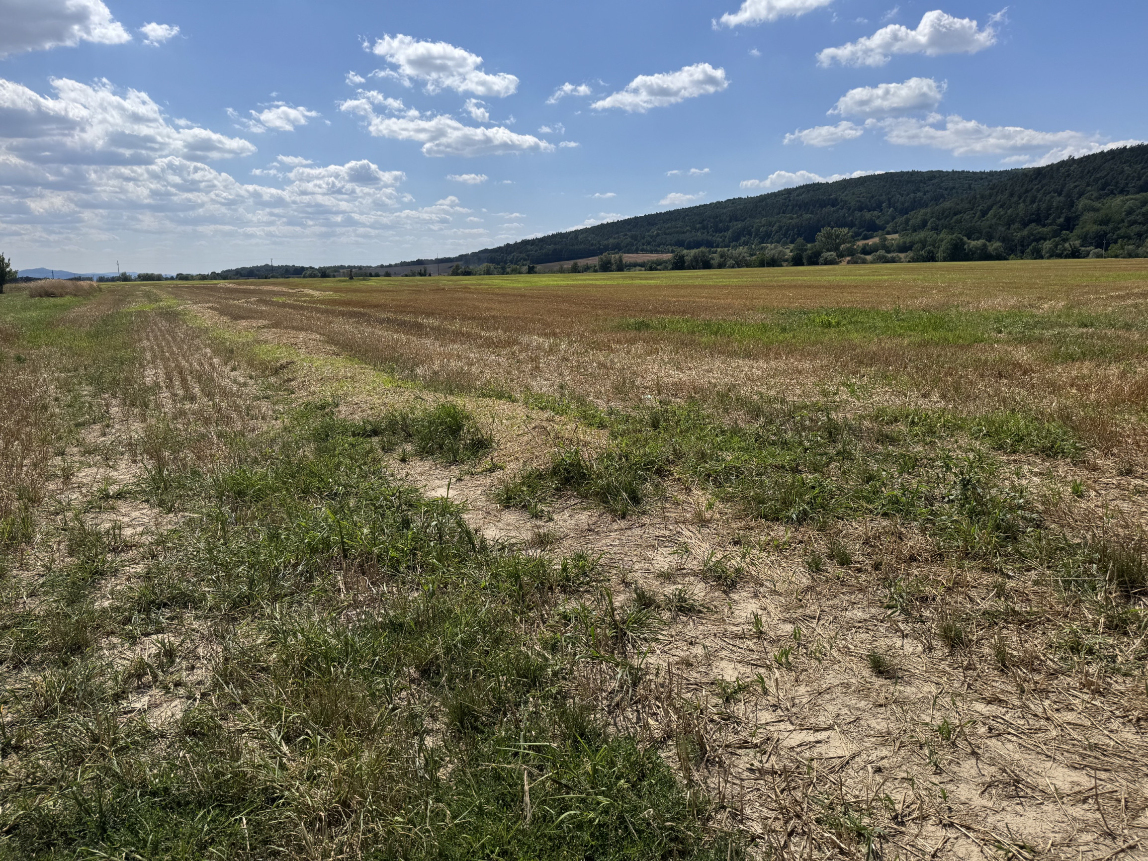 Výnimočné rekreačné pozemky 10 682 m², Horovce, Púchov