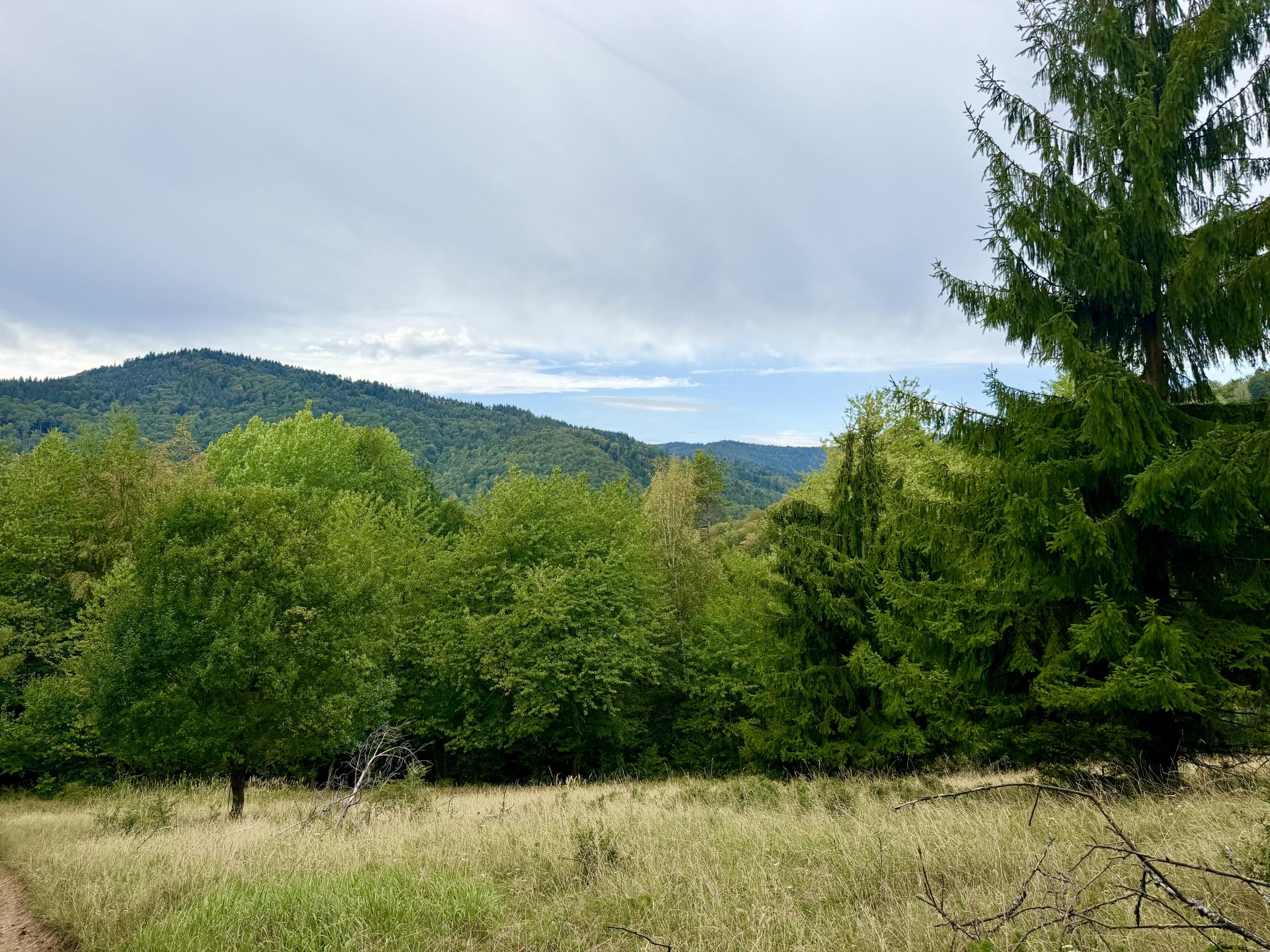 Pozemok - samota v horách nad obcou Lazy pod Makytou, Púchov